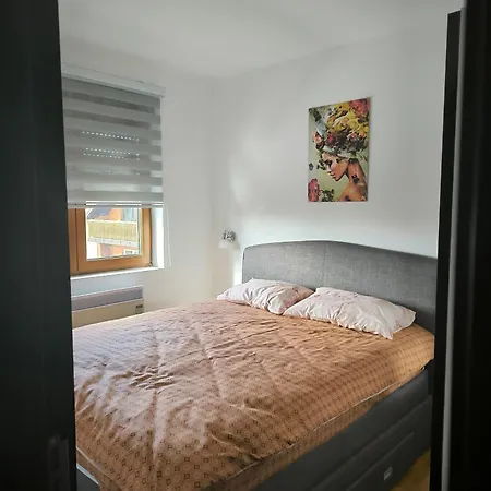 Rosa Lux Apartment *